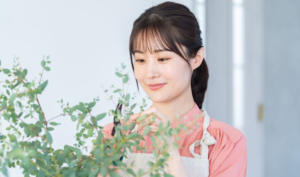観葉植物の状態をチェックするスタッフ