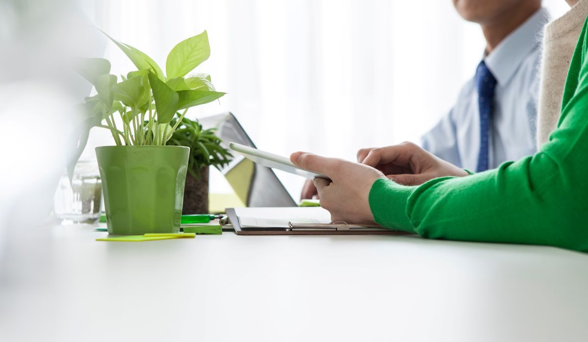 オフィスデスクに置かれた観葉植物