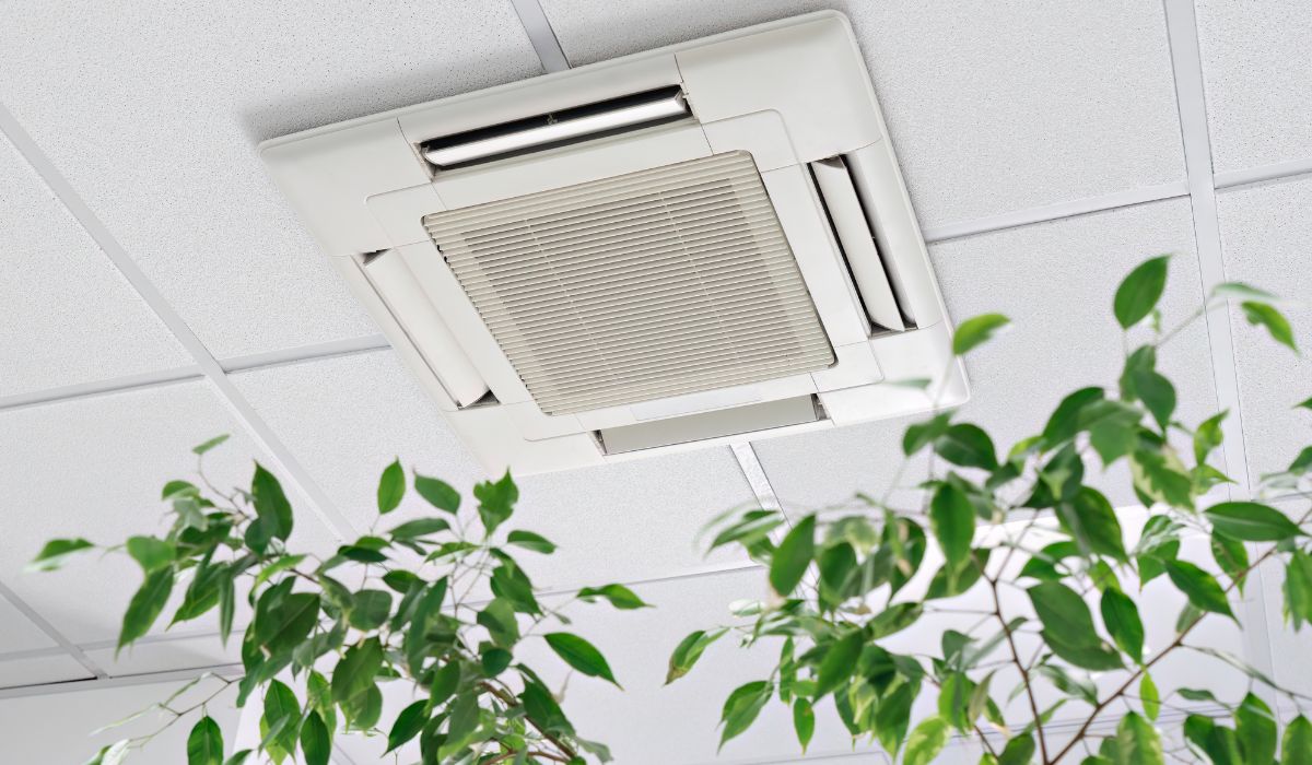 空調機付近に配置された観葉植物