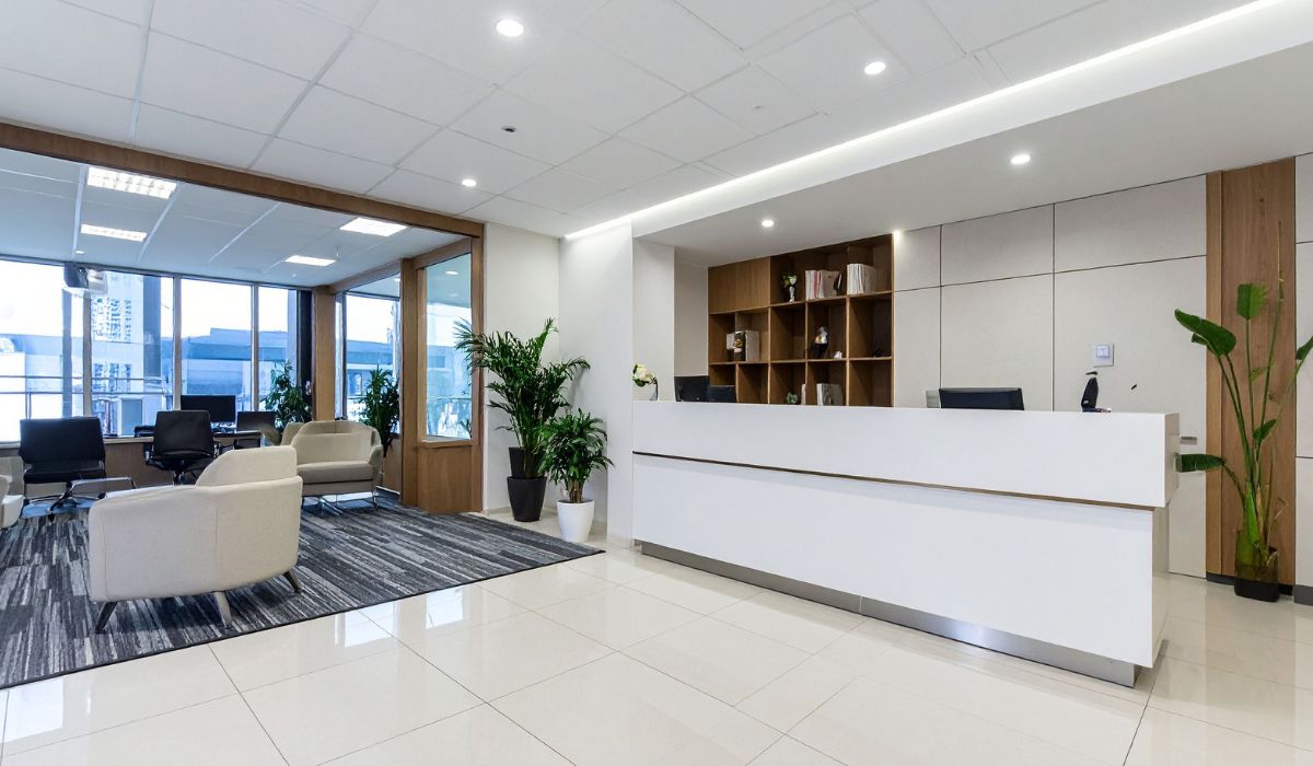 観葉植物と調和のとれたオフィス