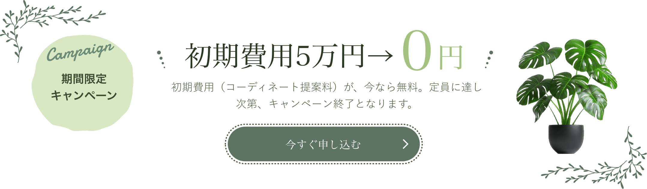 今すぐ申し込む
