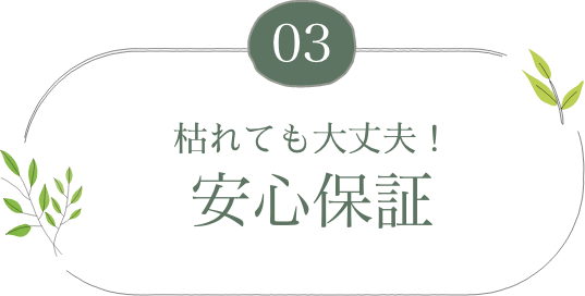 枯れても大丈夫！安心保証