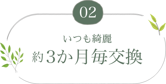 いつも綺麗3か月毎交換